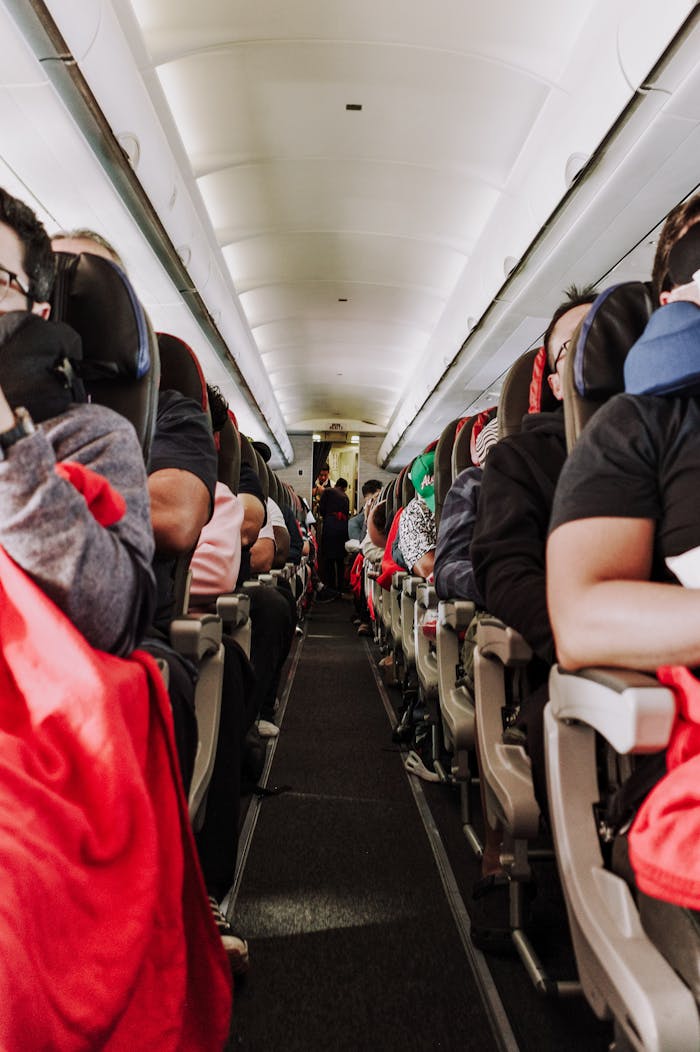 pexels photo 23848600.jpeg